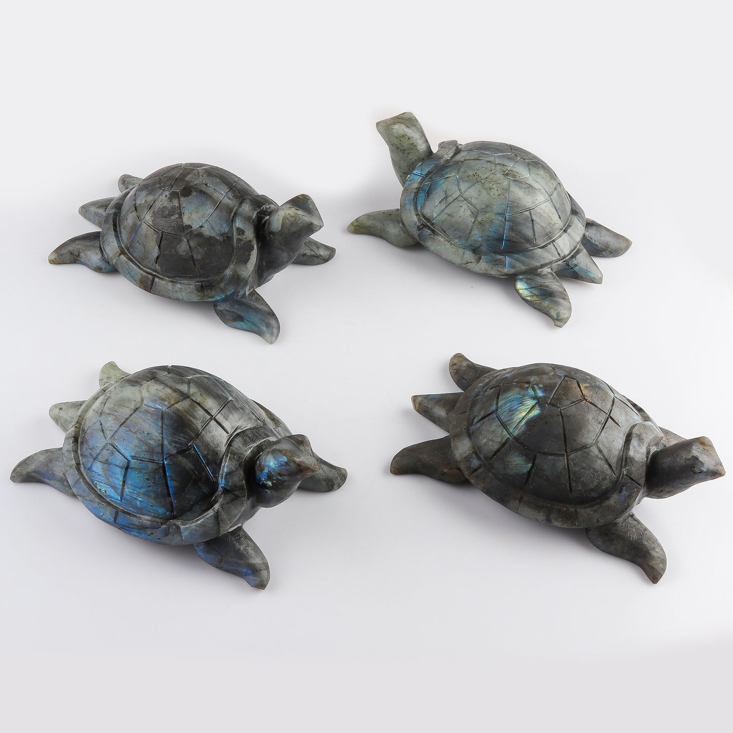 Carved Labradorite Tortoise